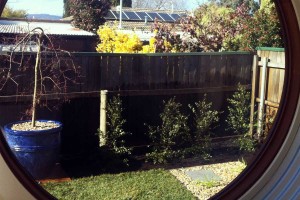 Window view of a garden in Curtin