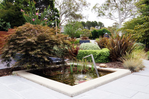 Front garden design with a water feature